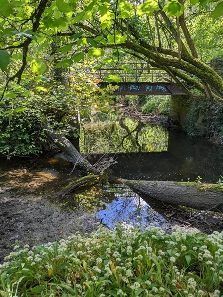 Ormandaki bir derenin üzerindeki eski köprü. 
