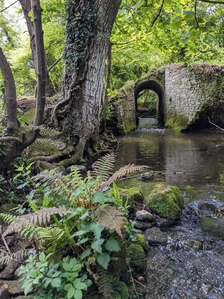 Ormandaki bir derenin üzerindeki eski taş köprü. 