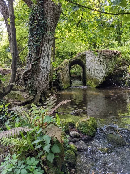 Ormandaki bir derenin üzerindeki eski taş köprü. 