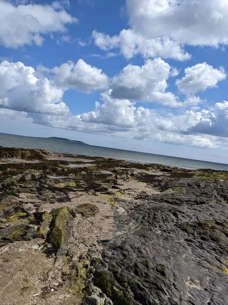 Deniz ve mavi gökyüzü manzaralı kıyı manzara