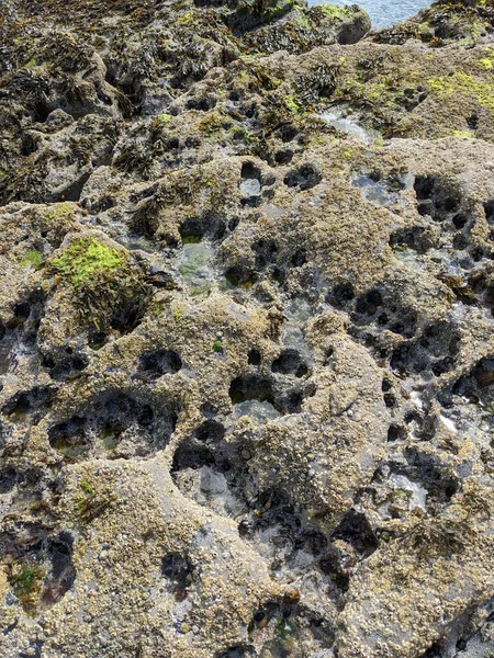 Stone Texture Sea Rocks — 图库照片