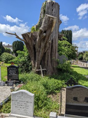 Mezarlık Kılıçları, Dublin