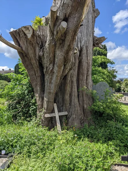 Dřevěný Kříž Blízkosti Obrovské Sochy Starého Stromu — Stock fotografie