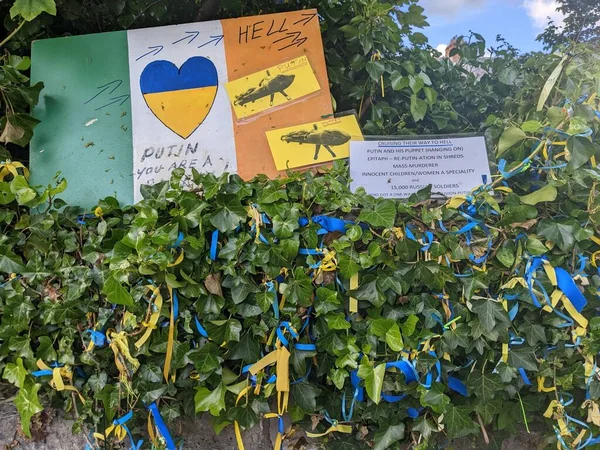 ダブリン アイルランドのロシア大使館近くのウクライナのデモの後の緑の茂みとポスターにウクライナの青と黄色の旗のストライプ — ストック写真