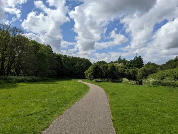 Green Park Path Trees Blue Sky White Clouds — Stock Photo, Image