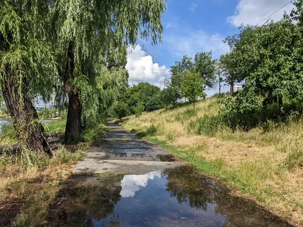 Hermosa Vista Del Parque Río — Foto de Stock