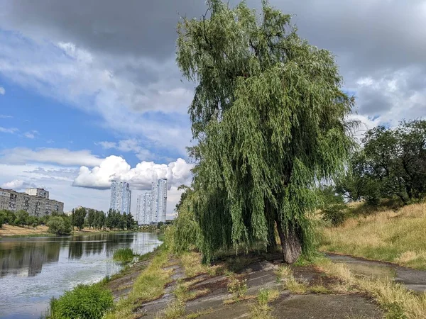 Blick Auf Den Fluss Stadtpark — Stockfoto