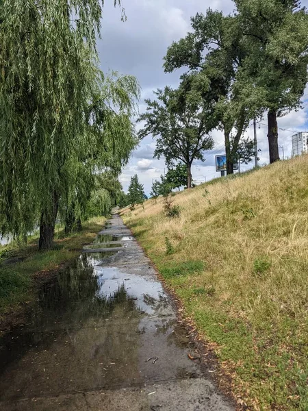 Hermosa Vista Del Parque Río — Foto de Stock