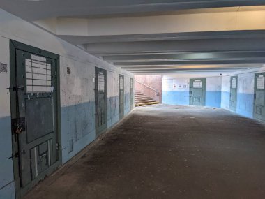 Kyiv, Avrupa karesi, Kırım karşıtı aktivist sanatı