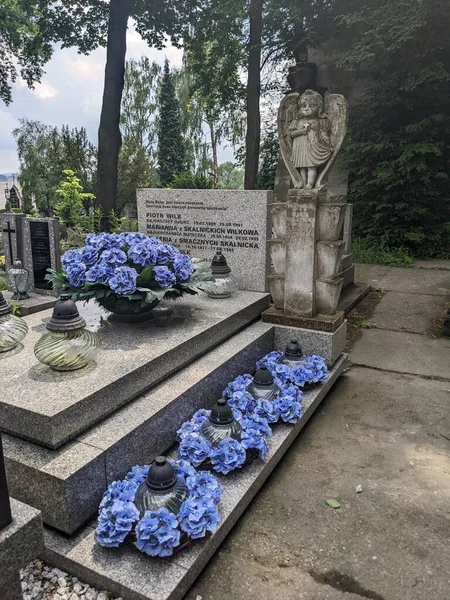 Cemetery Cmentarz Zwierzyniecki Krakow Poland — ストック写真