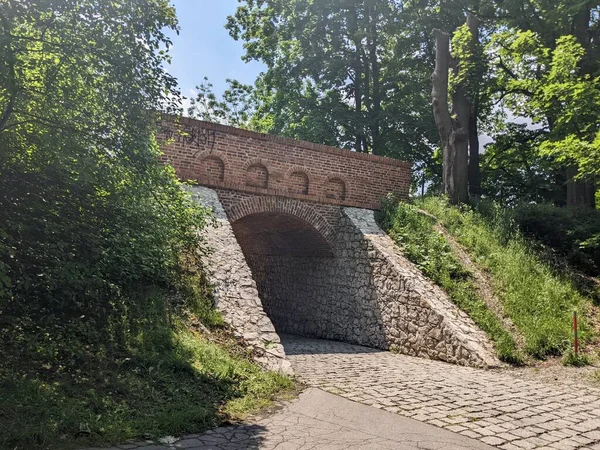 Stone Devil Bridge Krakow Poland — Foto Stock