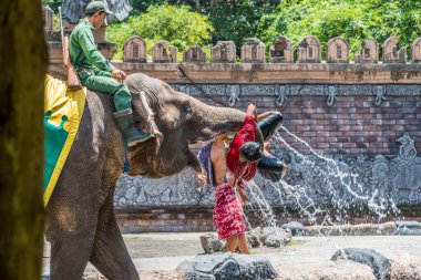 Labih, Bali / Endonezya - 11 / 19 / 2016 Bali Safari & Marine Park at the Elephant show