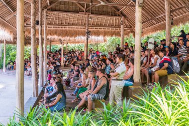 Labih, Bali / Endonezya - 11 / 19 / 2016 Bali Safari & Marine Park at the Elephant show