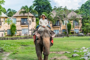 Labih, Bali / Endonezya - 11 / 19 / 2016 Bali Safari & Marine Park 'ta file binen adam