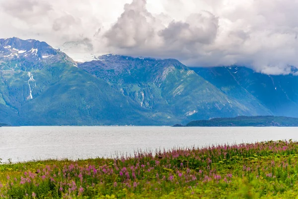 Montagne Avec Premier Plan Fleurs Asclépiade Ciel Nuageux Alaska — Photo