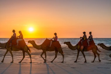 Cable Beach, Broome / Australia - 11 / 22 / 2014 Cable Beach 'te Camels' a binen güzel bir gün batımı.