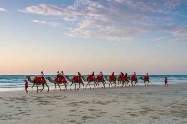 Cable Beach, Broome / Avustralya - 11 / 22 / 2014 Cable Beach 'te Camels' a binen insanlar güzel bir yaz akşamında