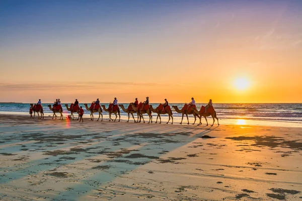 Cable Beach, Broome / Avustralya - Cable Beach 'te güzel bir gün batımı olan Camels' a binen insanlar.