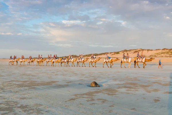 Cable Beach, Broome / Avustralya - 11 / 22 / 2014 Cable Beach 'te Camels' a binen insanlar güzel bir yaz akşamında