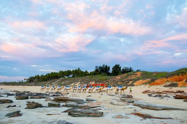 Cable Beach, Broome / Avustralya - Cable Beach 'te güzel bir gün batımı olan Camels' a binen insanlar.