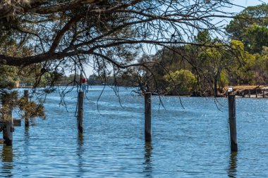 Güney Yunderup, WA / Avustralya - 03 / 10 / 2019 Güney Yunderup kanallarında yaşayan Estuary yaşam tarzı