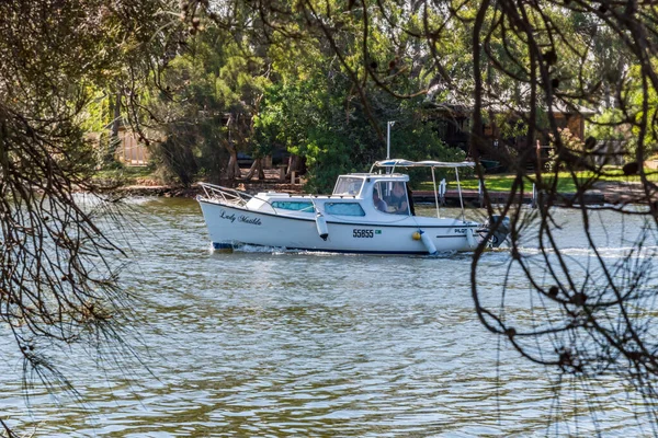 Güney Yunderup Avustralya 2019 Güney Yunderup Kanallarında Yaşayan Estuary Yaşam — Stok fotoğraf
