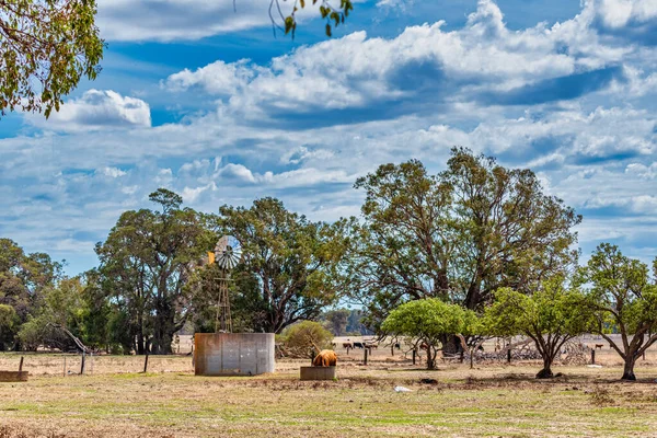 Ausztrál Szélmalmok Sikeresen Pumpálták Vizet Ausztrál Outback Ben Vályúba Készletükért — Stock Fotó