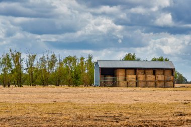 Avustralya 'nın kırsal kesimindeki Perth Avustralya' da saman balyası.