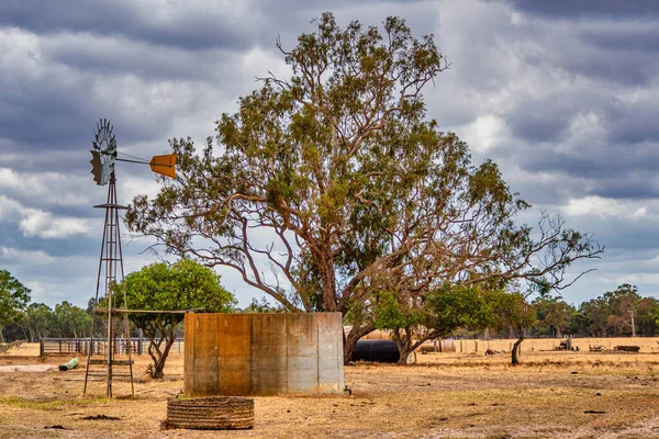 Αυστραλιανοί Ανεμόμυλοι Αντλούσαν Επιτυχία Νερό Στις Αυστραλιανές Εξόδους Για Απόθεμα — Φωτογραφία Αρχείου