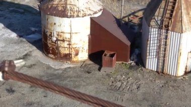 Ayı bir çöp kutusunda oturur. Onu büyük bir kamyonla kaçırdılar.