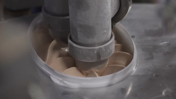 Γαλακτοκομικά Μεταφορά Γεμίζοντας Λευκά Πλαστικά Κουτιά Παγωτό Σοκολάτα — Αρχείο Βίντεο