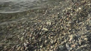 Avacha Körfezi kıyısında küçük taşlar. Sakin dalgalar, kristal berrak deniz suyu