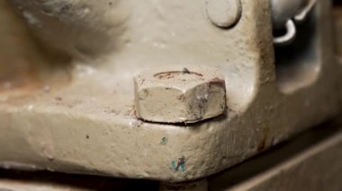 Metal anahtar ve eldivensiz eller kullanan bir adam fındığı söker.