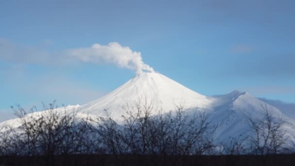 Güneşli Bir Kış Gününde Kamçatka Daki Avachinsky Volkanı Sigara Içiyor — Stok video