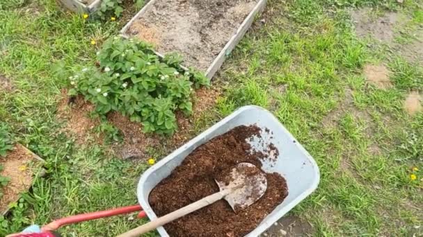Jardinier Avec Une Brouette Une Pelle Sur Terrain Jardin — Video