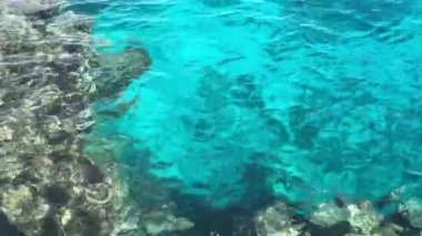 Denizden kumlu plaja ve şehre manzara