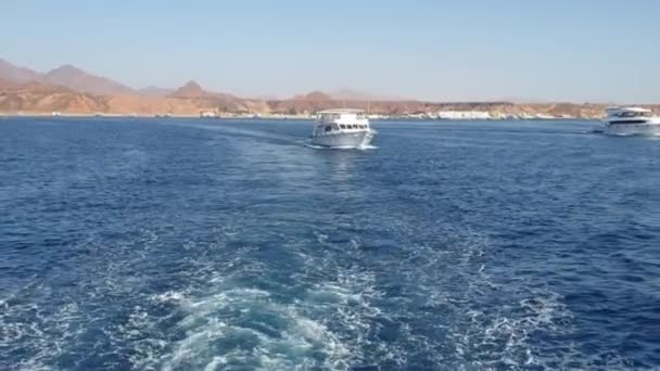 Speedboot Loopt Zee Tegen Achtergrond Van Kust — Stockvideo