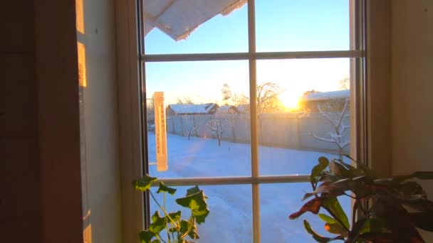 Termômetro Ensolarado Manhã Inverno Mostra Graus Geada Fria — Vídeo de Stock