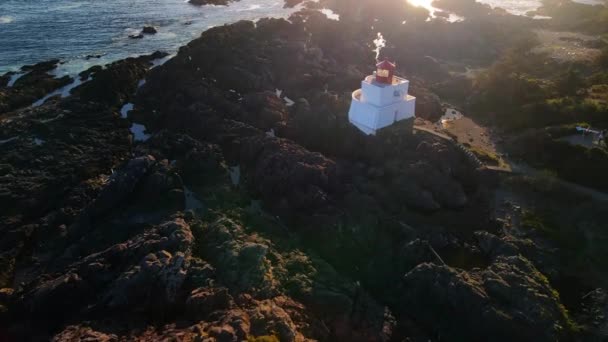 Aerial Flight Dense Forest Rocky Coast Ocean Lighthouse — Stock Video