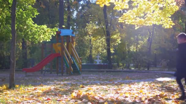 Autumn Park Sunny Weather Child Comes Takes Bright Leaves Ground — Stock Video