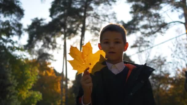 Herbst Park Bei Sonnigem Wetter Schuljunge Blickt Durch Helle Blätter — Stockvideo