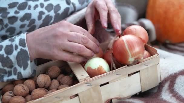 Kobiece Dłonie Wyodrębniają Warzywa Owoce Ogrodu Jesienią — Wideo stockowe