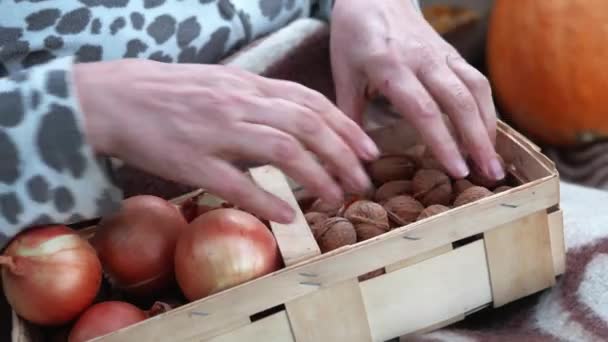 Жіночі Руки Розбирають Овочі Фрукти Саду Осінню Погоду — стокове відео