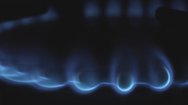 Moving flames of gas in gas cooker. Blue fire on stove in dark. — Stock Video