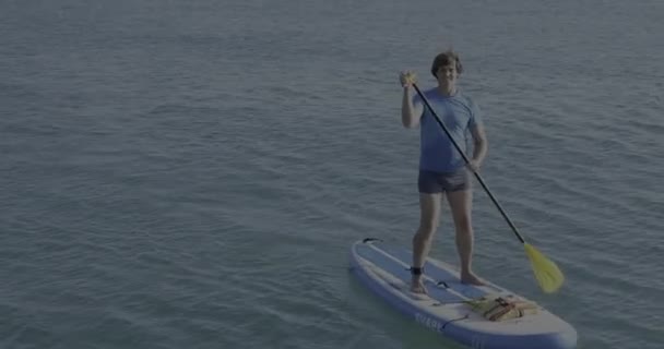 Beau pagayeur. Sportsman pagaie sur le stand up paddleboard. Surfer sur SUP. Mode de vie actif. Loisirs extérieurs. Vacances au bord de la mer. — Video
