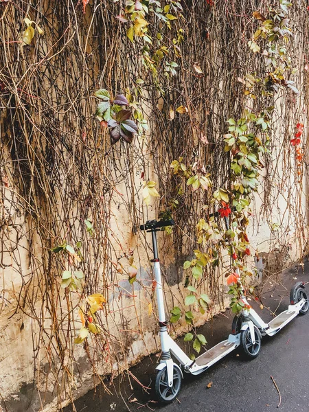 Два Самоката Припаркованные Рядом Бежевой Стеной Покрытые Партеноциссом Известным Виктория — стоковое фото