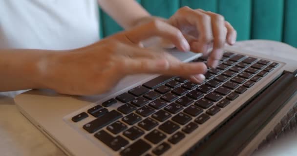 Kobieta pracuje zdalnie w kawiarni z czerwoną ceglaną ścianą. Kobiece typy na klawiaturze laptopa. Współpracujące centrum ze stylem wnętrz poddasza. Miejsce pracy na własny rachunek. — Wideo stockowe