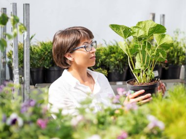Kadın peyzaj için bitki ve ağaçları seçiyor. Çiçekçide fideleri, çiçek açan bitkileri ve tohumları olan açık hava rafları. Açık hava tarım pazarı.