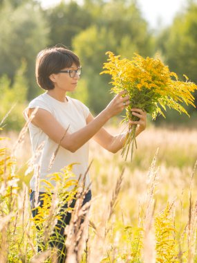 Kadın, sonbahar sahasında Solidago 'yu seçiyor. Çiçekçi iş başında. Evin iç kısımları için sarı çiçekleri dekoratif buket olarak kullanırlar..