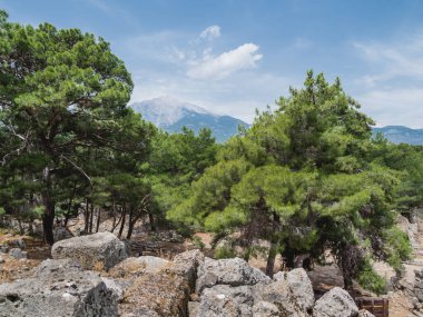 Ormanlar arasında Lycian Olympus olarak da bilinen Tahtali Dagi Dağı. Bahar manzarası. Türkiye.